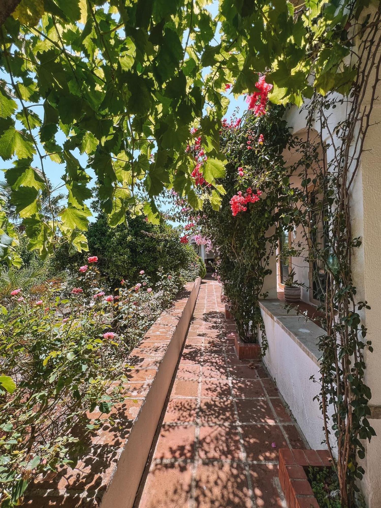 Quinta De Sao Pedro De Tomar Villa Eksteriør billede